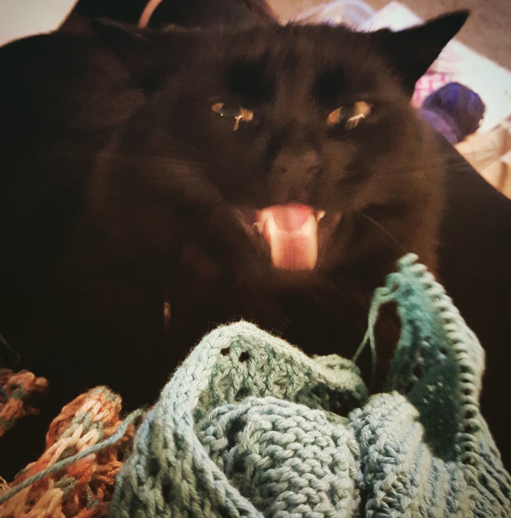 Batman Kitty kept chewing on my knitting cable, and sleeping on my finished project.